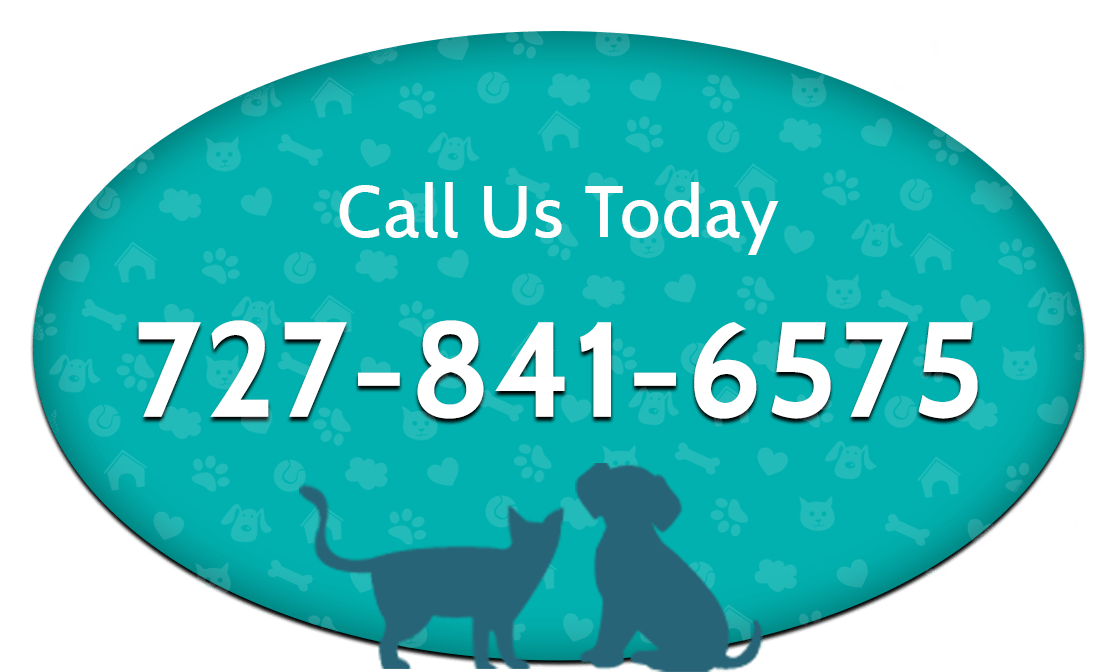Emergency Vet in Port Richey, FL Animal Emergency of Pasco