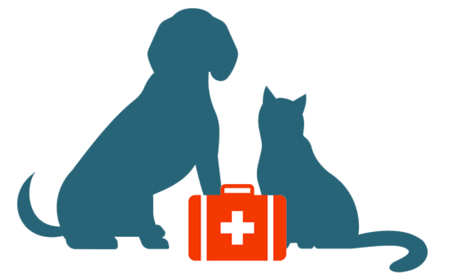 Our Practice Graphic